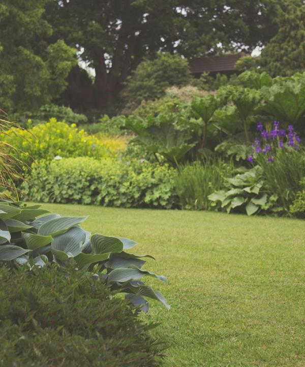 Giardino